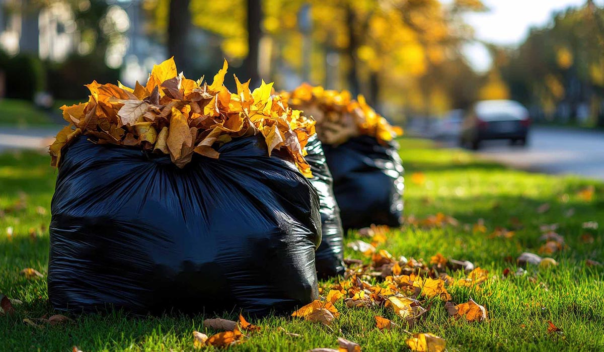 Gartenabfälle entsorgen lassen